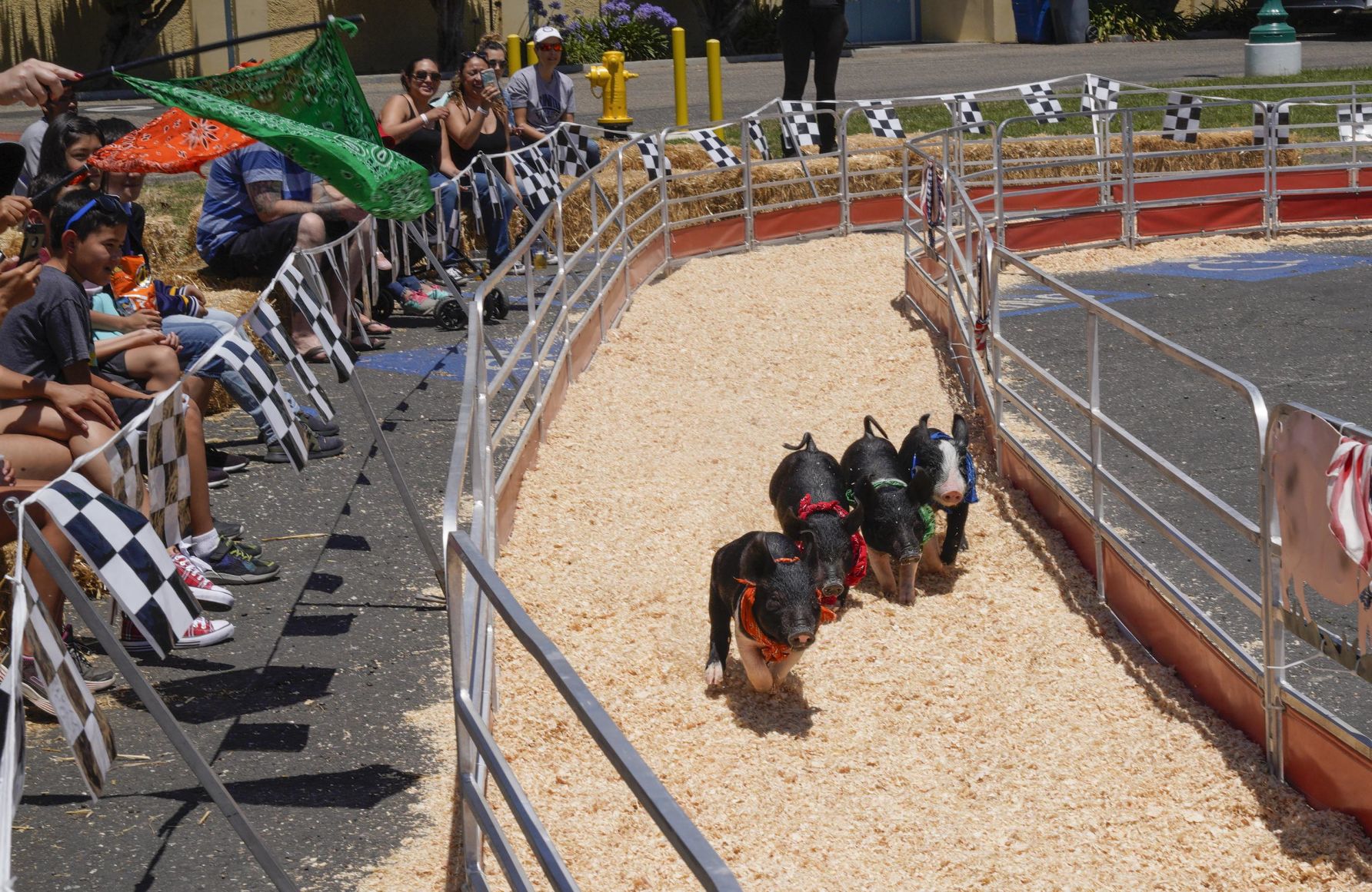 071019 Fair Opens 02.jpg
